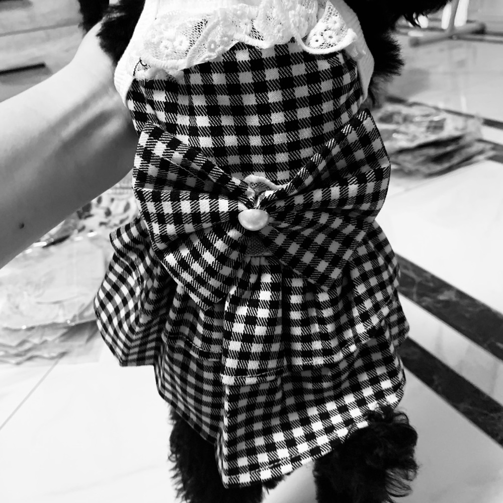 pet dresses set for sale - Picture 7 of 8